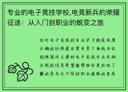 专业的电子竞技学校,电竞新兵的荣耀征途：从入门到职业的蜕变之旅
